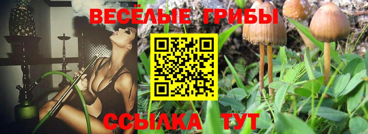 Галлюциногенные грибы Cubensis  Вход с VPN  Салехард 