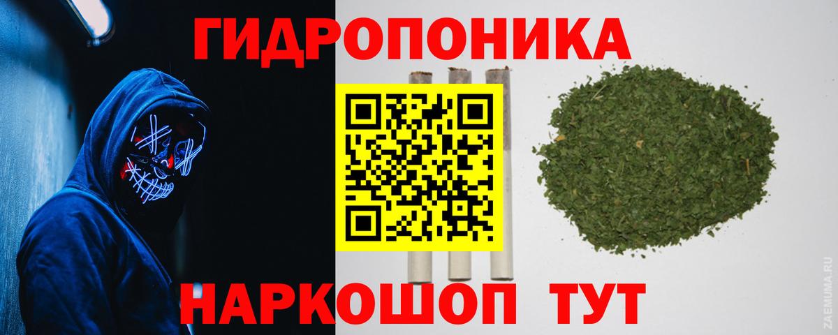 Конопля ГИДРОПОН Салехард